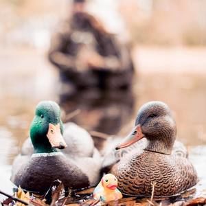 Meet your Posher, Chad